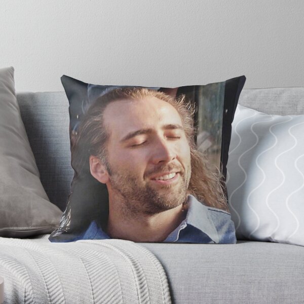 Celebrity home outlet pillows