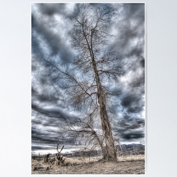 Item preview, Dead Wood designed and sold by toby snelgrove  IPA.