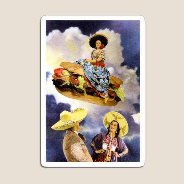 XOCO Collection: The Flying Torta Magnet