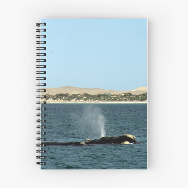 Item preview, Whales at Fowler's Bay, South Australia. designed and sold by elphonline.