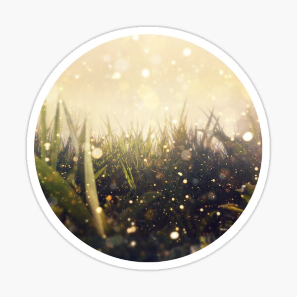Hidden in the Magic Garden Sticker