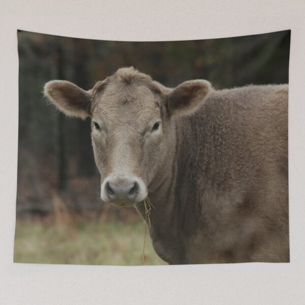 Item preview, Snacking Cow designed and sold by StampCity.