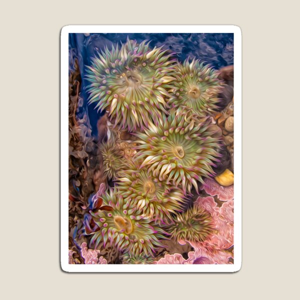 Item preview, Sea Anemones designed and sold by Kathleen Bishop.