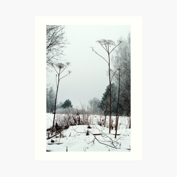 Scenery in winter Art Print