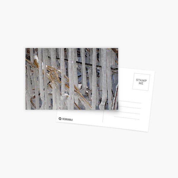Icey Times Postcard