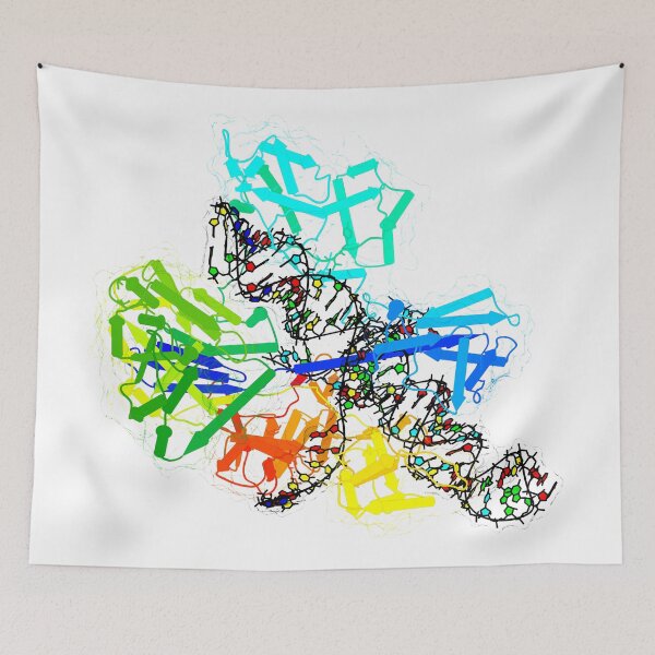 Item preview, CRISPR Cas9 designed and sold by 3D Biology.