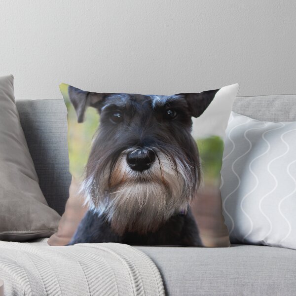 Item preview, Piper's Portrait designed and sold by Jamie Kiddle.
