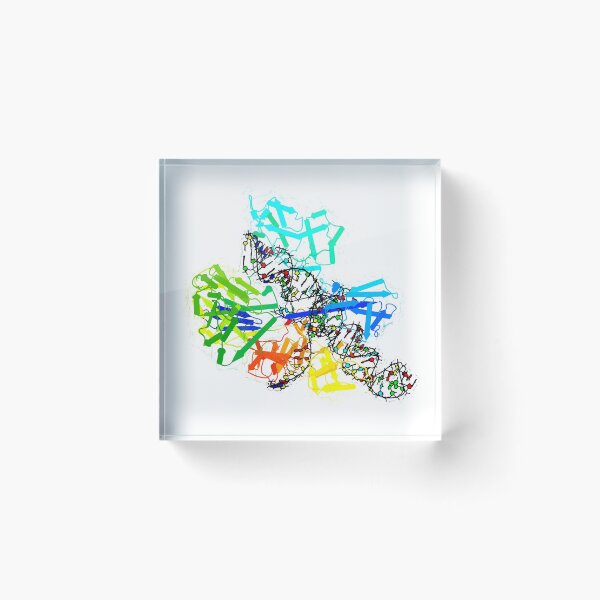 Item preview, CRISPR Cas9 designed and sold by 3D Biology.