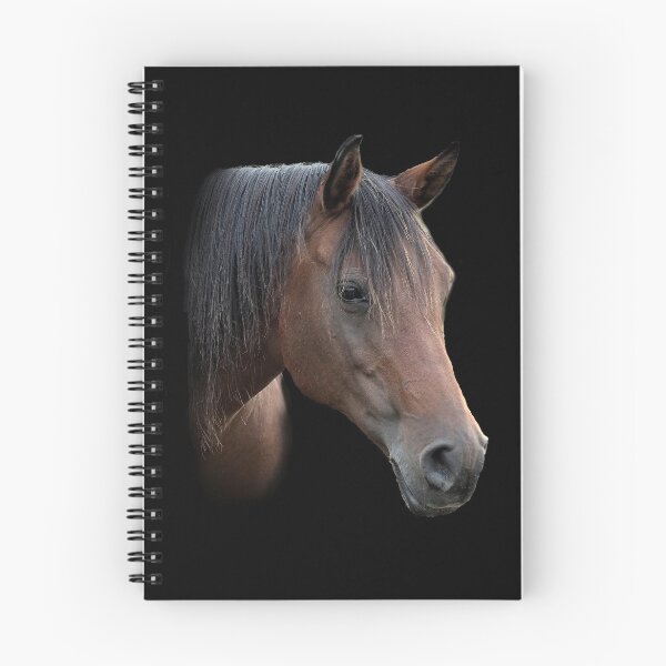 Item preview, Arab horse designed and sold by Holmewood.