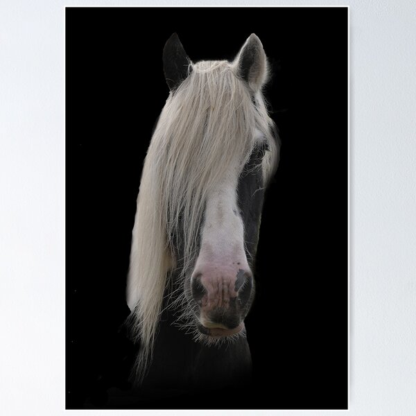 Item preview, Black and White Hairy Cob designed and sold by Holmewood.