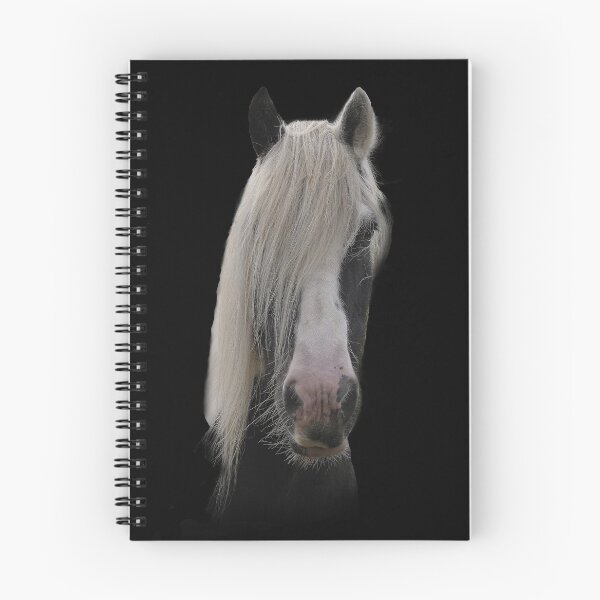 Item preview, Black and White Hairy Cob designed and sold by Holmewood.