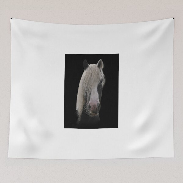 Item preview, Black and White Hairy Cob designed and sold by Holmewood.