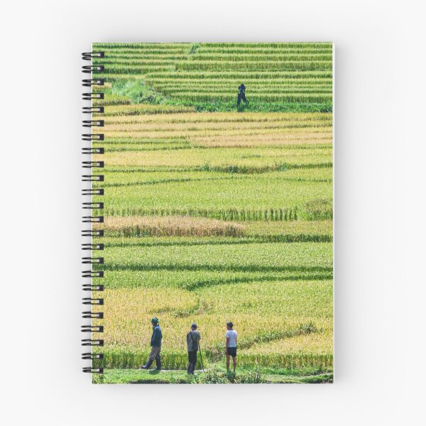 Item preview, Rice Fields. designed and sold by bulljup.