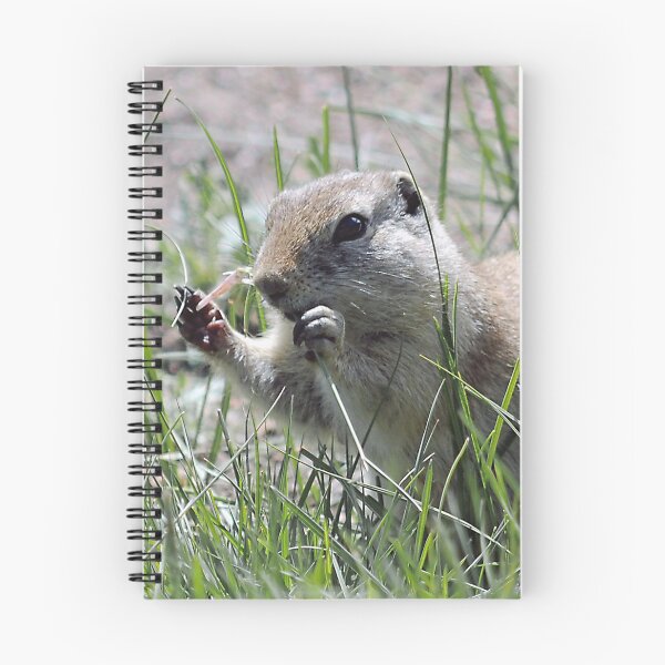 Item preview, Prairie Dog Having Lunch designed and sold by My Photo Shop.