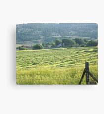 Fresh Mown Hay Canvas Print