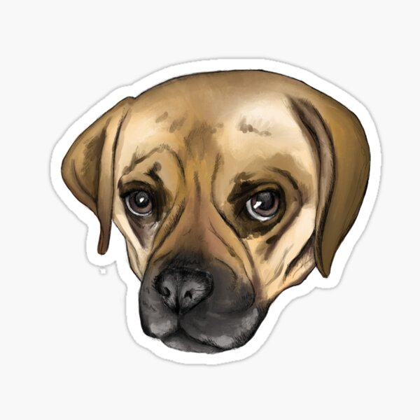 puggle stuff