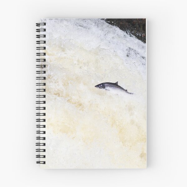 Item preview, Leaping salmon designed and sold by chanonry.