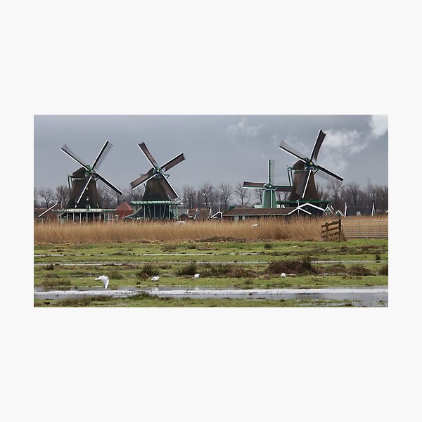 Item preview, Windmills Zaanse Schans 2 designed and sold by DutchLumix.