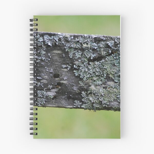 Item preview, Im lichen That Wood designed and sold by GriffMAD.