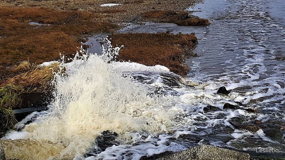  Surging To The Sea By Lesliebc Redbubble
