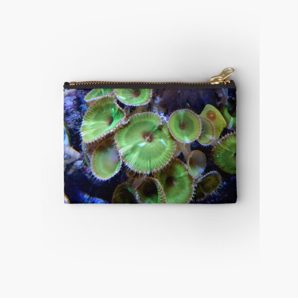 Item preview, Water Flora     ^ designed and sold by ctheworld.