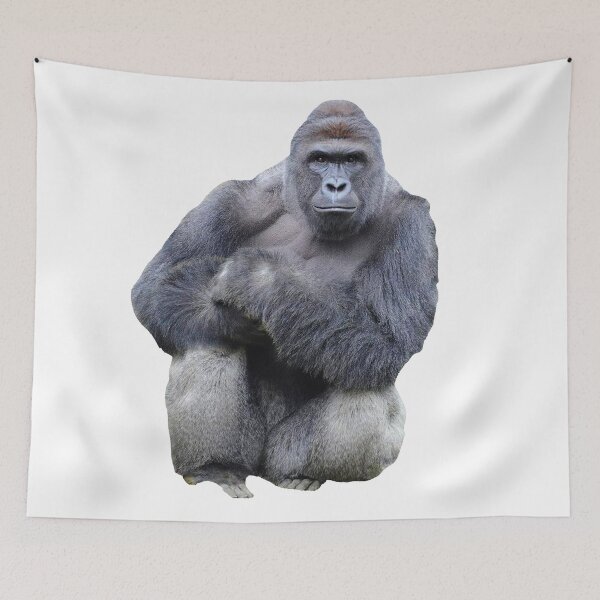 Item preview, Harambe designed and sold by Meme Economy.