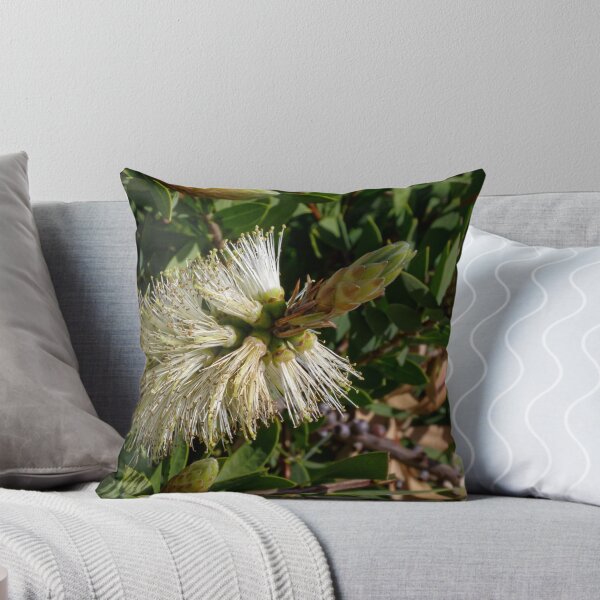 Item preview, Grevillea coming out Currie Wing Garden 20180917 3269 designed and sold by Fred Mitchell.