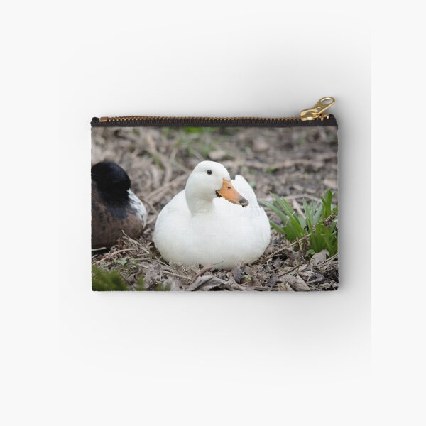 Item preview, Roosting White Mallard designed and sold by lmaiphotography.
