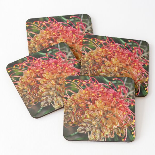 Item preview, Two Aussie Grevilleas  designed and sold by Joy Watson - Natural Light Photography .