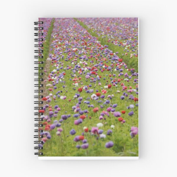 Item preview, anemonefield designed and sold by DCarlier.