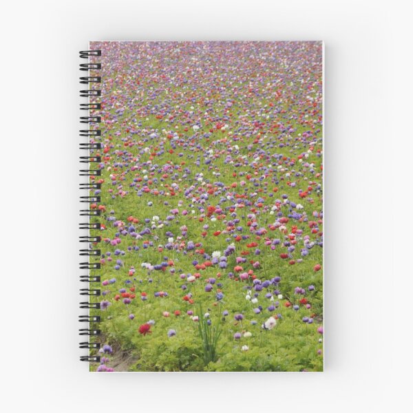 Item preview, fields of colors designed and sold by DCarlier.