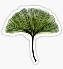 Gingko Ginko biloba watercolor and ink Sticker
