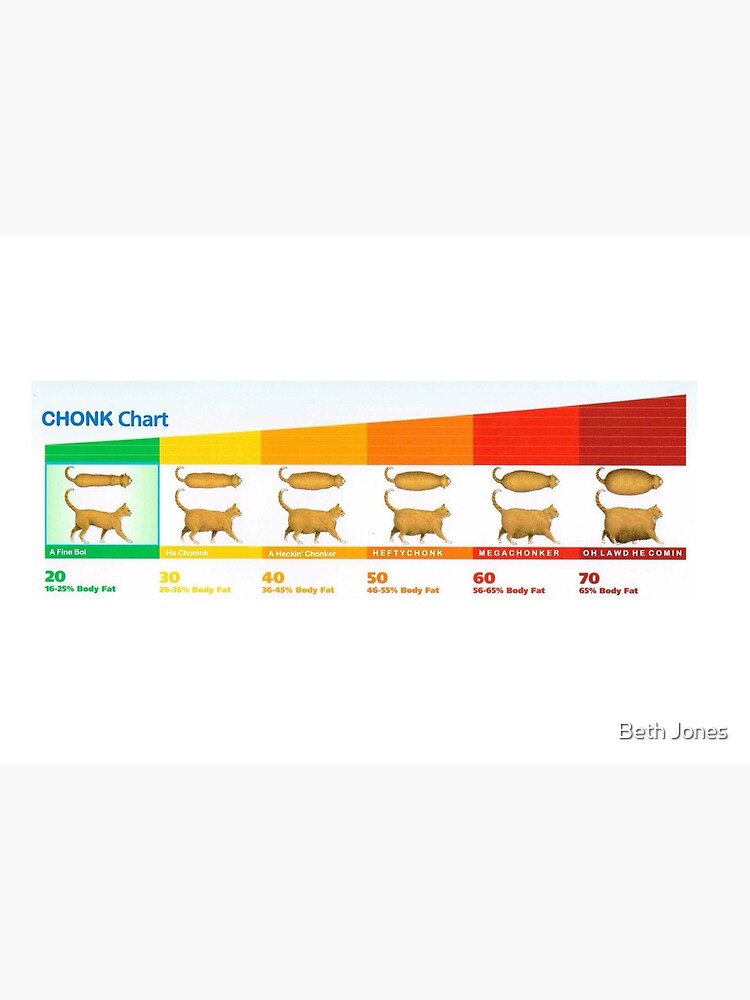 Cat Chonk Chart