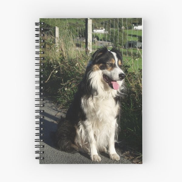 Item preview, Shepherd of the Hills designed and sold by Michael Haslam.