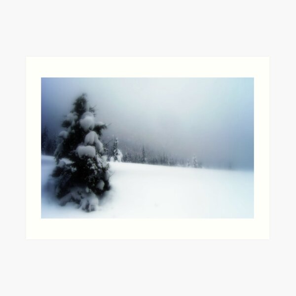 Winter Wonderland Art Print
