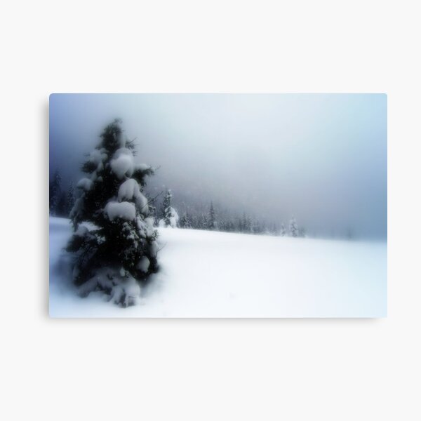 Winter Wonderland Canvas Print