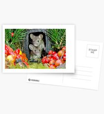 Postales Dos ratones de la casa del jardín salvaje en una casa de troncos