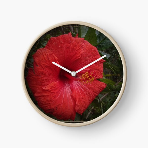 Red gumamela Clock