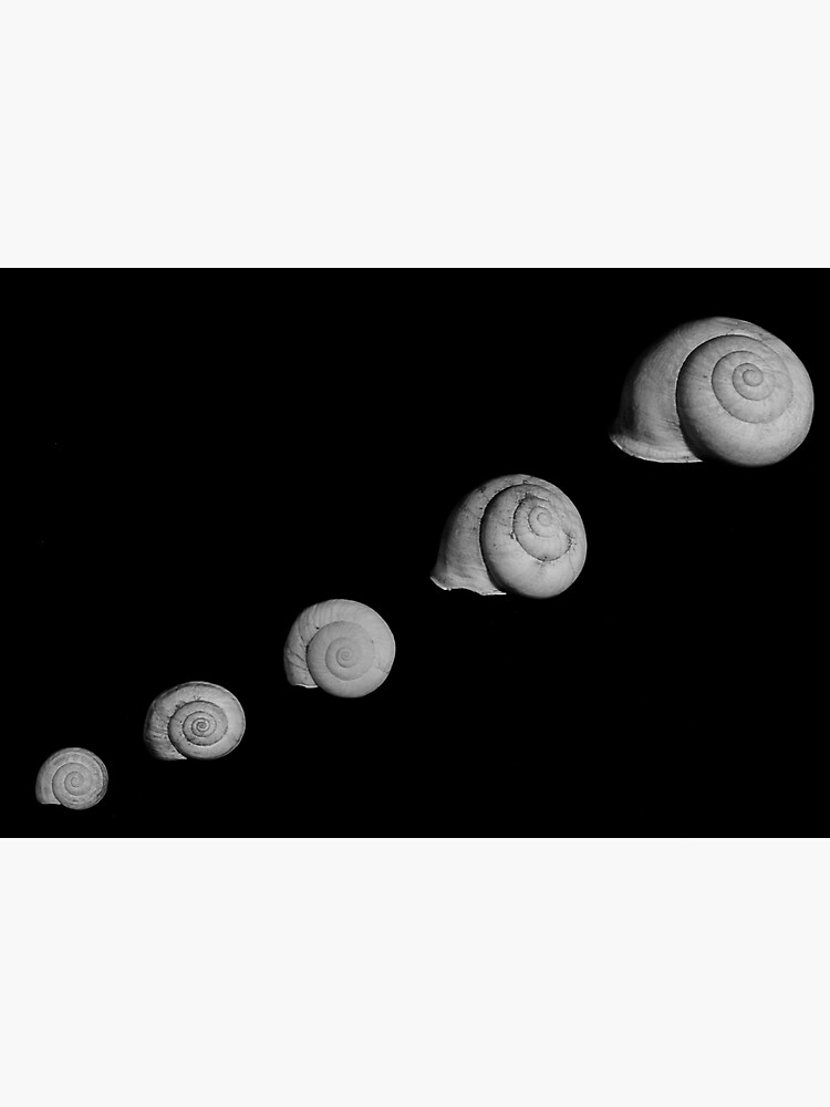 "The property ladder." Poster for Sale by PaulPasco Redbubble