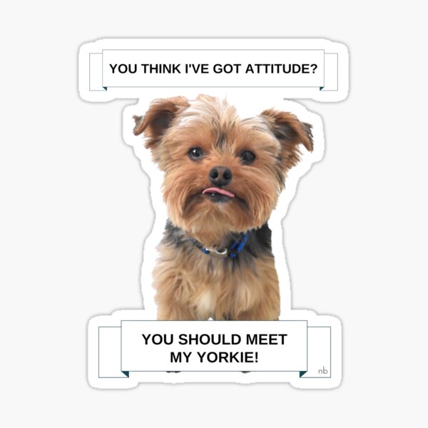 Yorkie Attitude | Yorkshire Terrier Sticker
