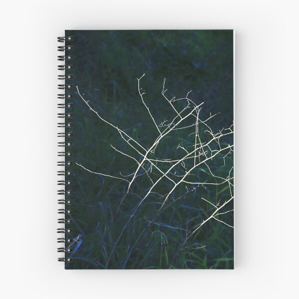 Item preview, Outstanding. designed and sold by Paul Pasco.