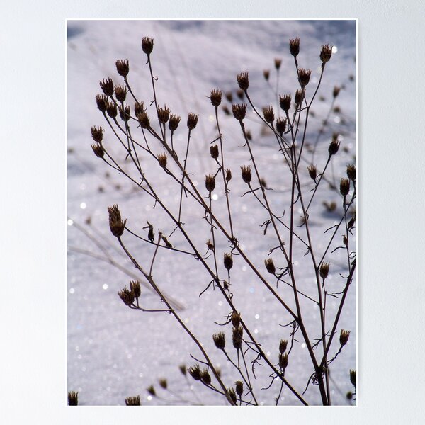 Item preview, Winter in the Catskills designed and sold by Dandelion Dilluvio.