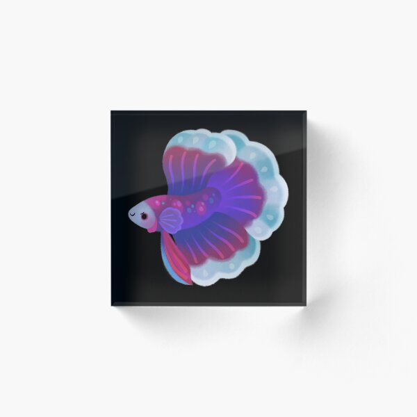 Blue Betta Acrylic Block