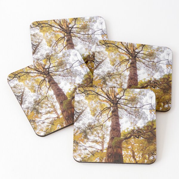 Item preview, Countryside, Lakes & Forest C183 designed and sold by Hyperion Photoart.
