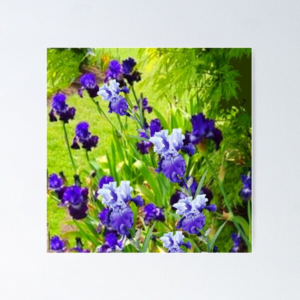 Item preview, CHARTREUSE GREEN GARDEN & PURPLE-WHITE IRIS  designed and sold by sharlesart.