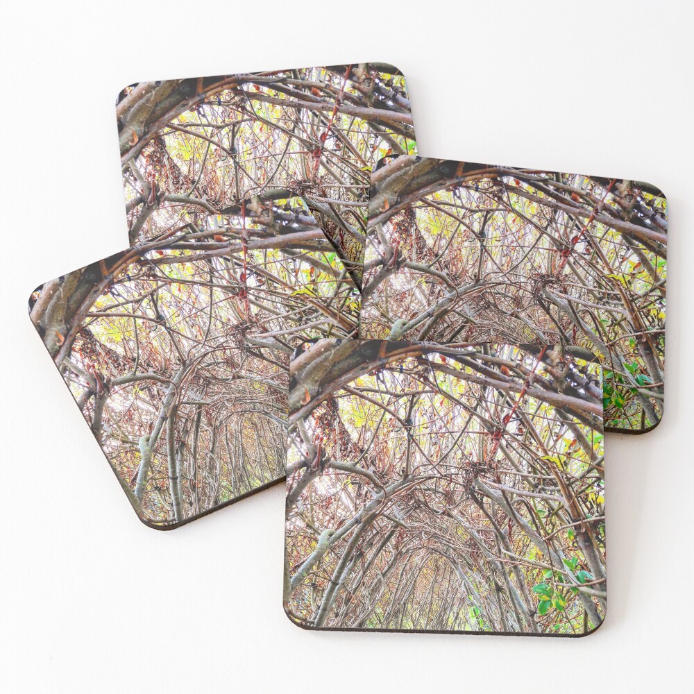 Item preview, Coasters (Set of 4) designed and sold by HyperionPhotoA.