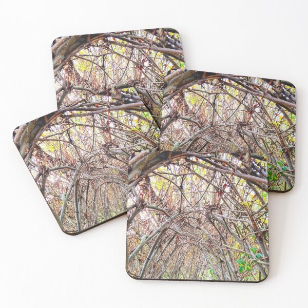 Item preview, Random Captures R103f designed and sold by Hyperion Photoart.
