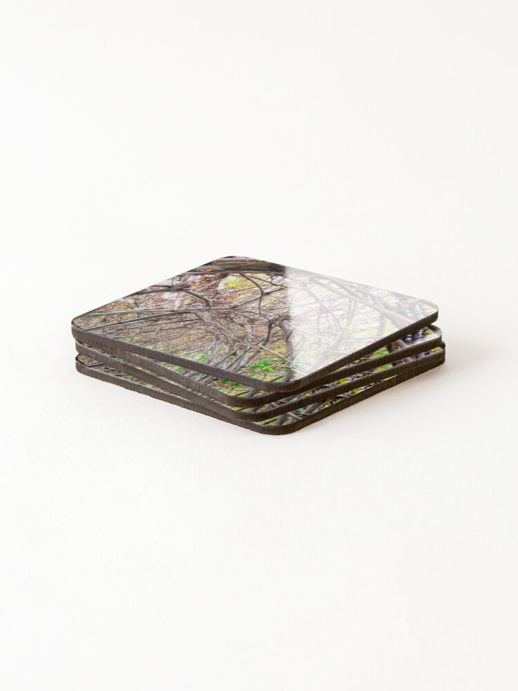 Thumbnail 4 of 5, Coasters (Set of 4), Random Captures R103f designed and sold by HyperionPhotoA.