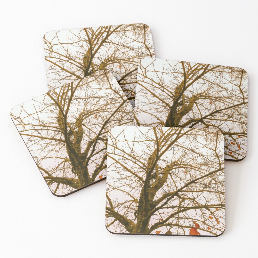 Item preview, Coasters (Set of 4) designed and sold by HyperionPhotoA.