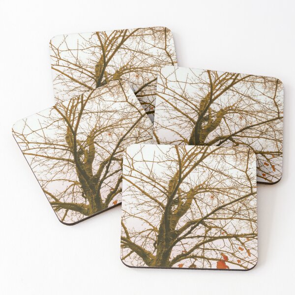 Item preview, Random Captures R162c designed and sold by Hyperion Photoart.